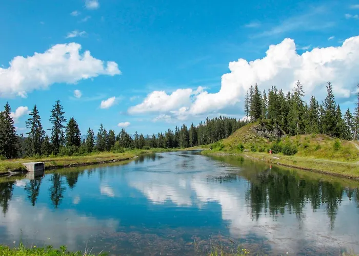 Neurauter-2 By Interhome Fügen